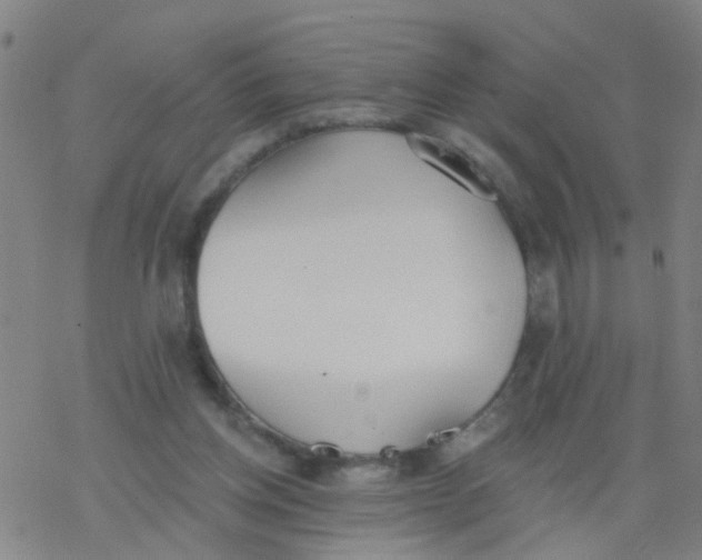 X0000077400158200611101829