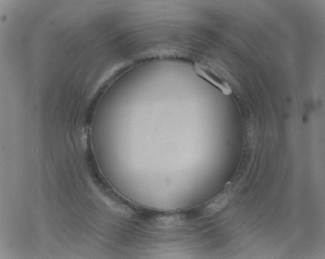 X0000077400160200611101829