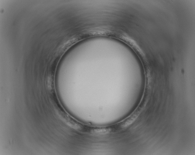 X0000077400161200611101829