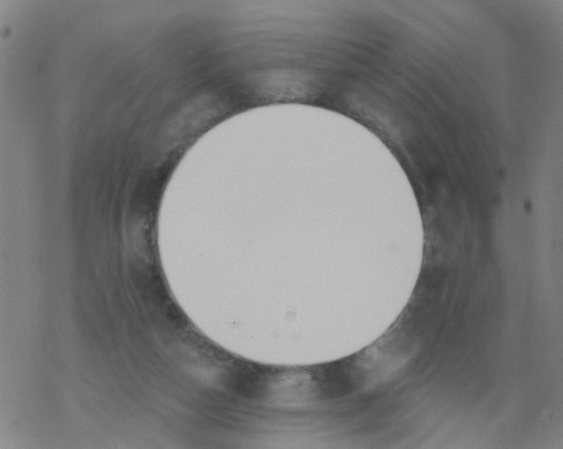 X0000077400162200611101829