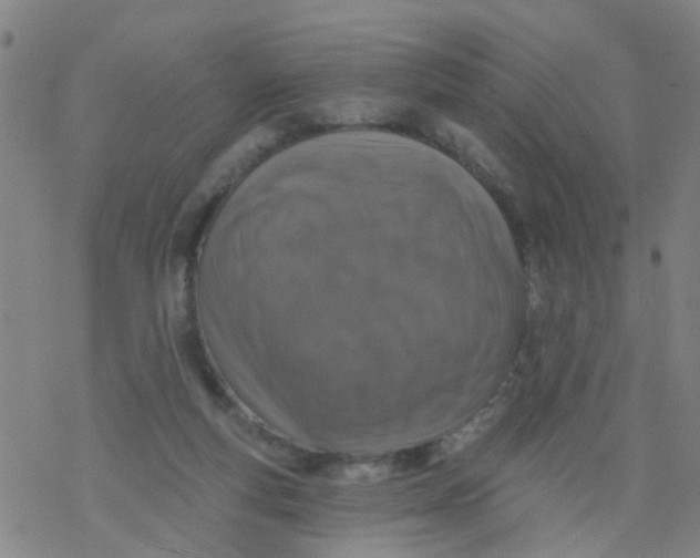 X0000077400163200611101829