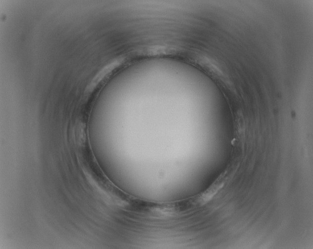 X0000077400164200611101829