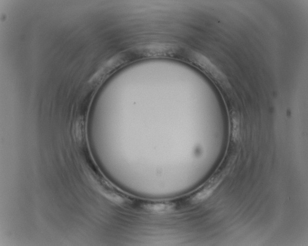 X0000077400165200611101829