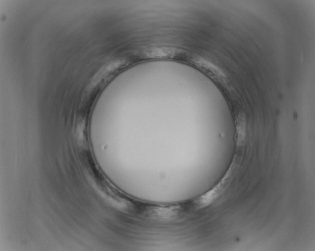 X0000077400166200611101829