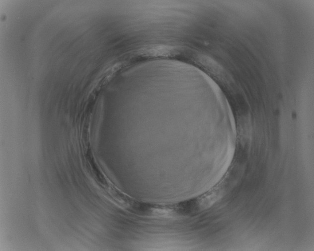 X0000077400167200611101829