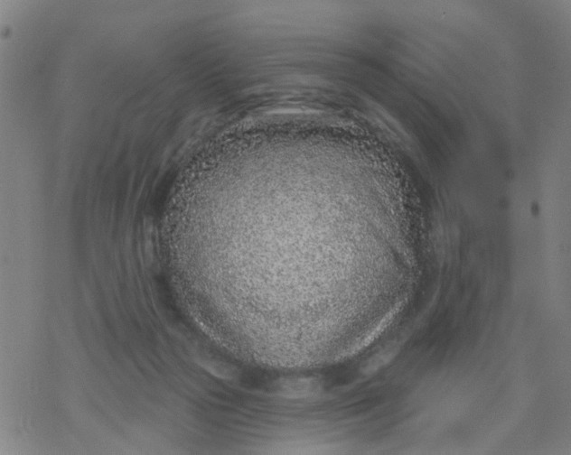 X0000077400169200611101829