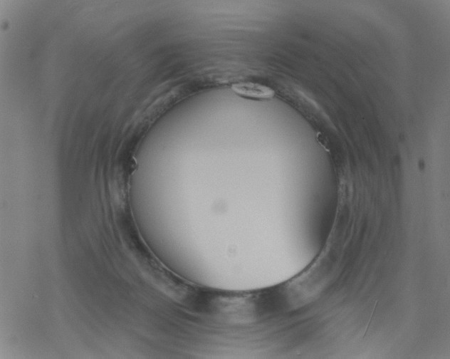 X0000077400170200611101829