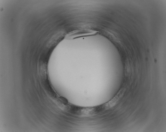 X0000077400172200611101829