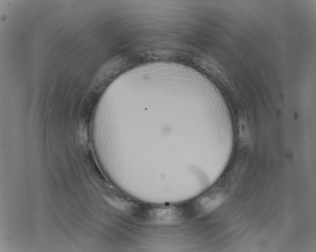 X0000077400173200611101829