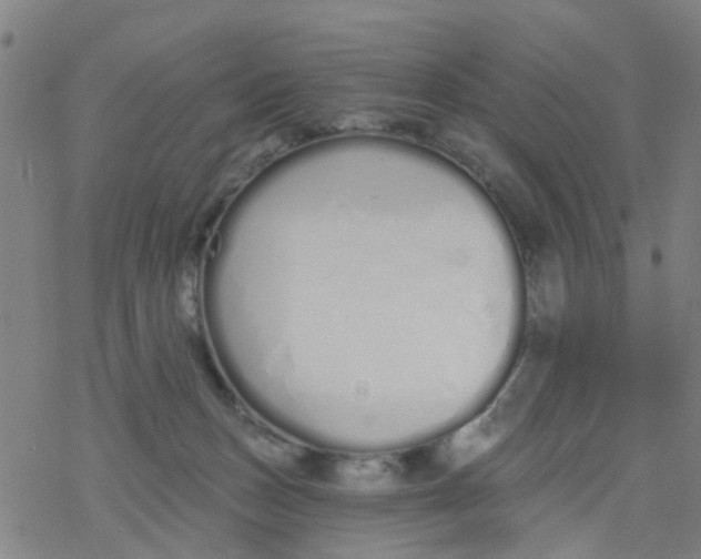 X0000077400175200611101829