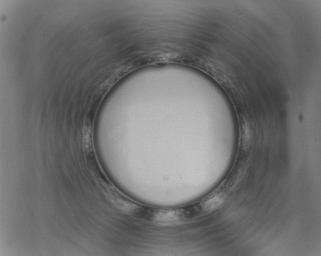 X0000077400177200611101829