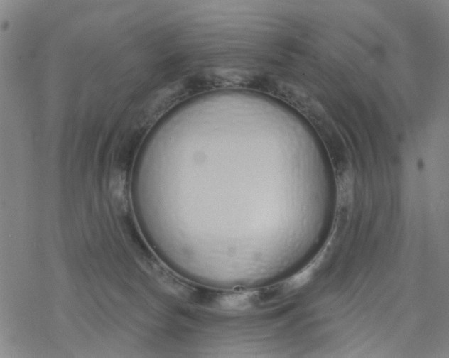 X0000077400178200611101829