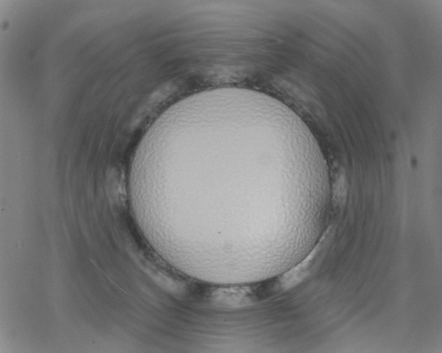 X0000077400179200611101829