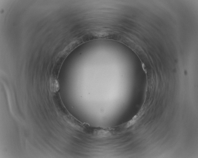 X0000077400180200611101829