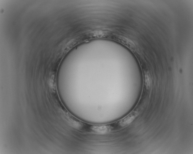 X0000077400181200611101829