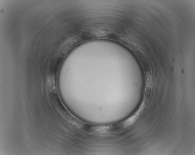 X0000077400182200611101829