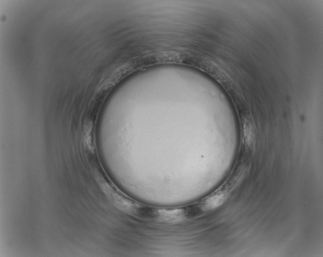 X0000077400185200611101829