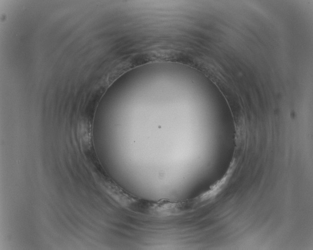 X0000077400186200611101829