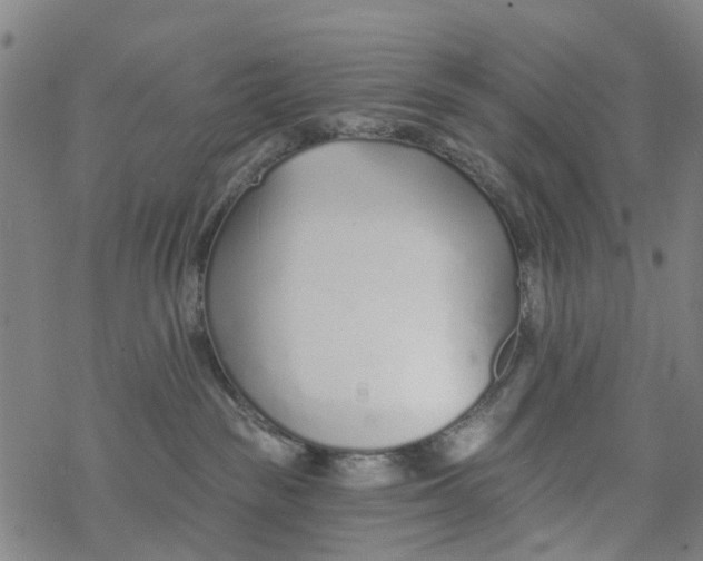 X0000077400189200611101829