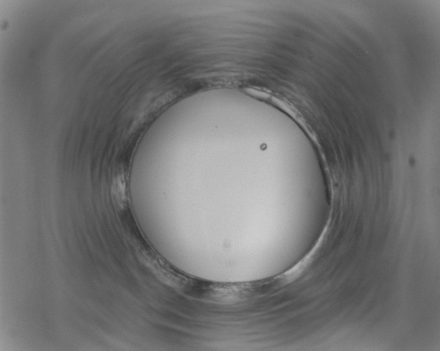 X0000077400190200611101829