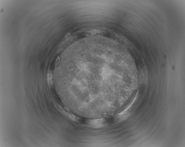 X0000077400191200611101829