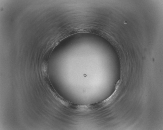 X0000077400192200611101829