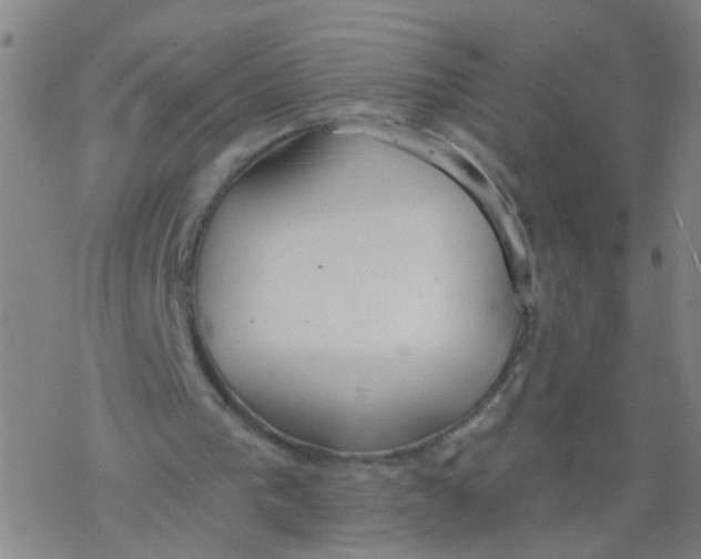 X0000077400193200611101828