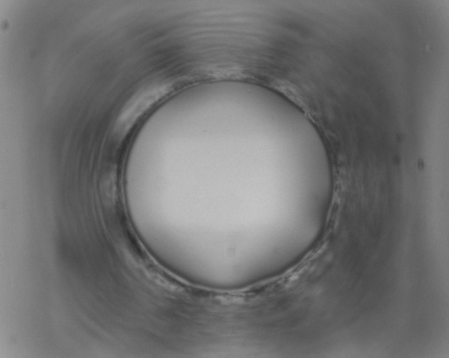 X0000077400194200611101828