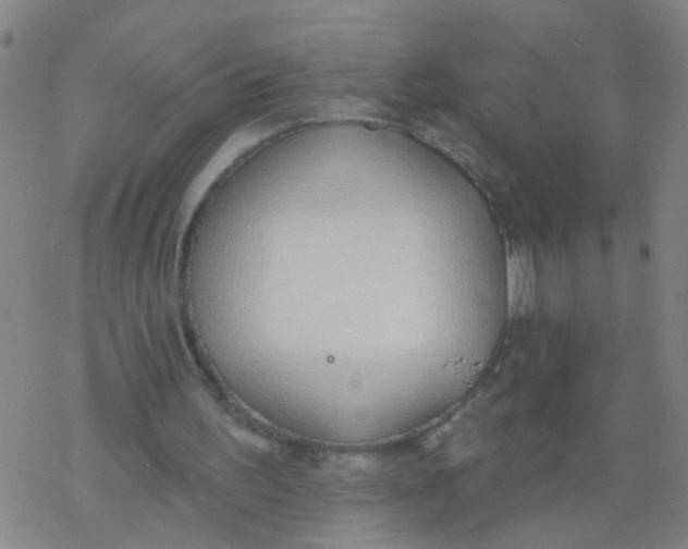 X0000077400195200611101828