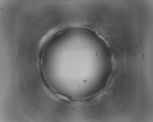 X0000077400197200611101828