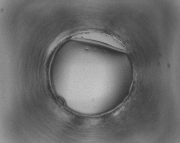 X0000077400198200611101828