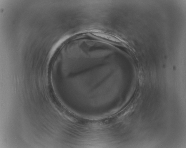 X0000077400200200611101828