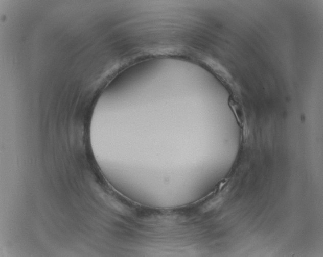 X0000077400201200611101828