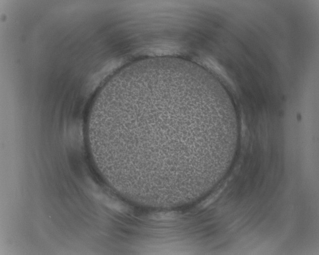 X0000077400202200611101828