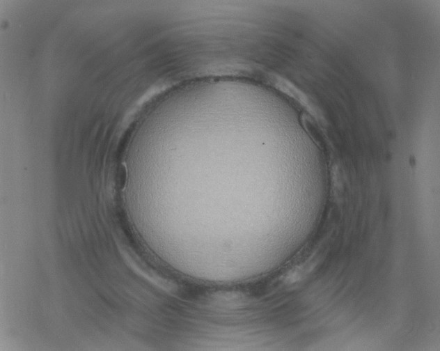 X0000077400203200611101828