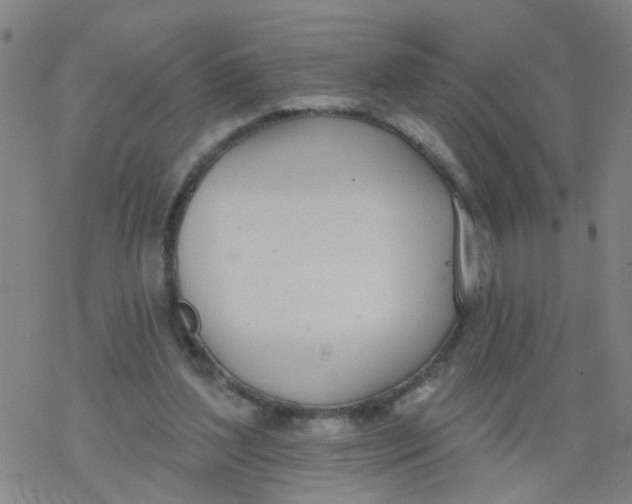 X0000077400204200611101828