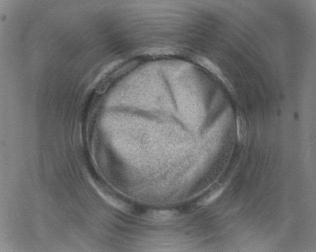 X0000077400205200611101828