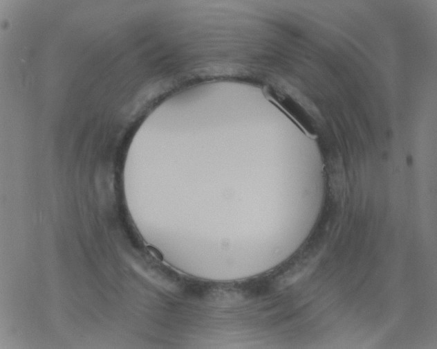 X0000077400207200611101828