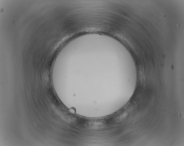 X0000077400208200611101828