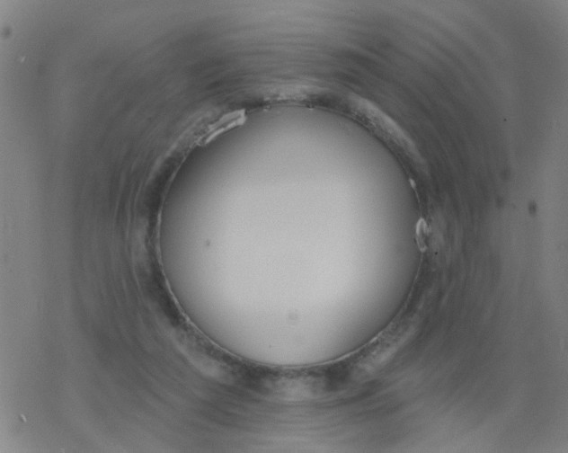 X0000077400209200611101828