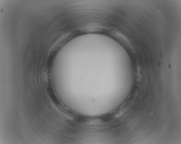 X0000077400210200611101828