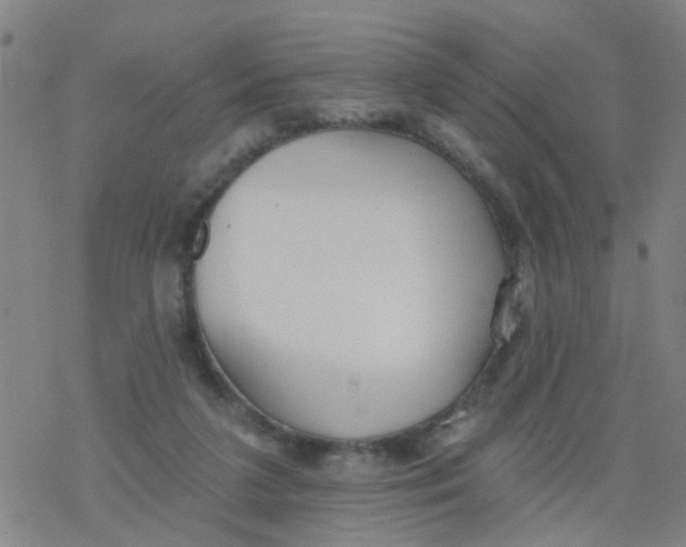 X0000077400211200611101828