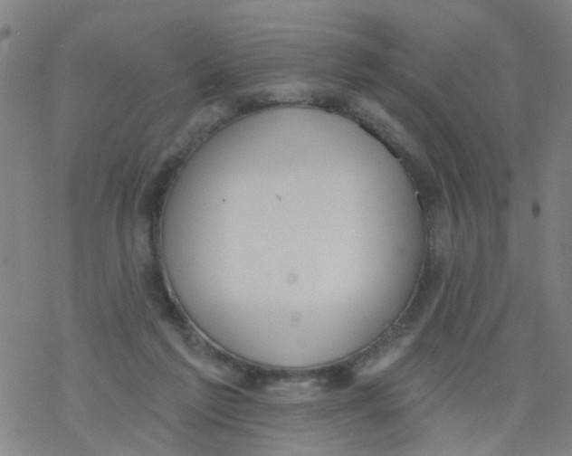 X0000077400213200611101828