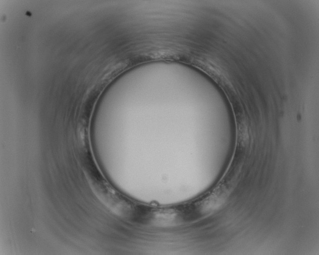 X0000077400214200611101828