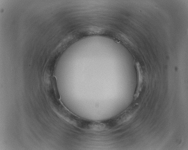 X0000077400215200611101828