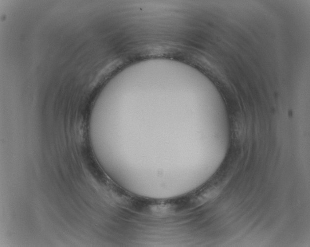 X0000077400216200611101828