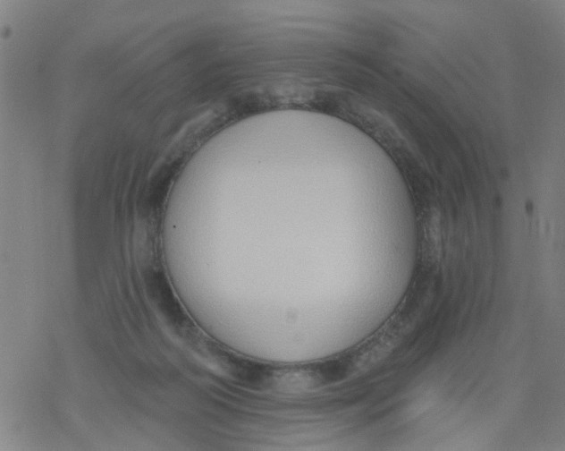 X0000077400218200611101828