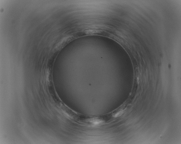 X0000077400219200611101828