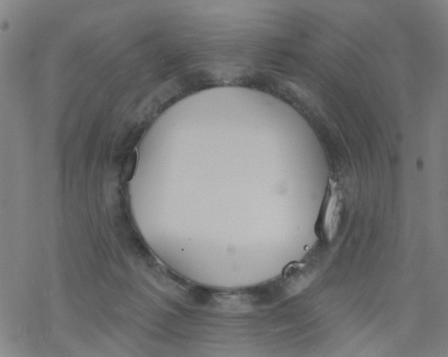 X0000077400221200611101828