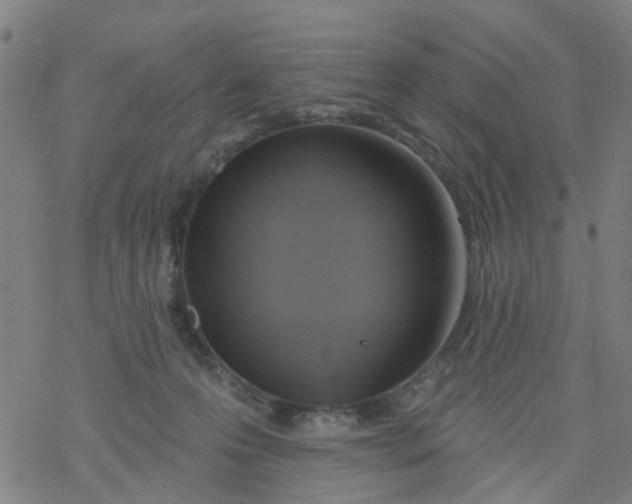 X0000077400223200611101828